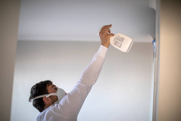Best Kitchen Mold Remediation in Poinciana, FL