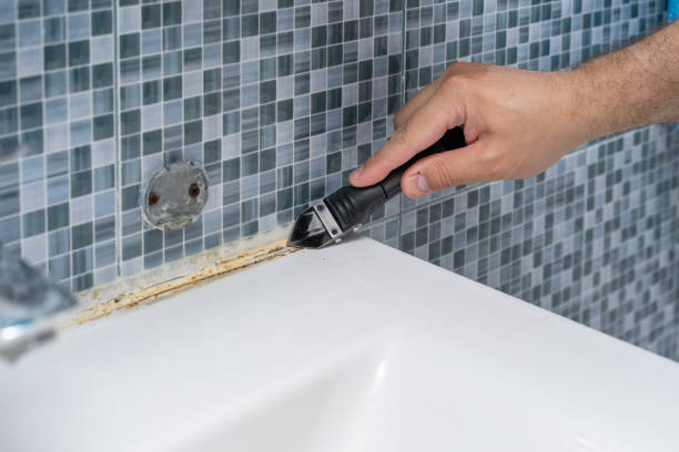 Best Health and Safety Mold Remediation in Poinciana, FL